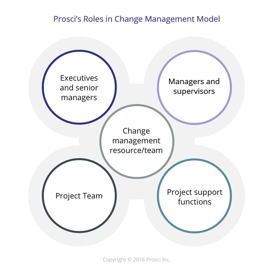 Roles in Change Management Model